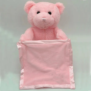 Peek-a-boo Teddy Bear - FREE SHIPPING